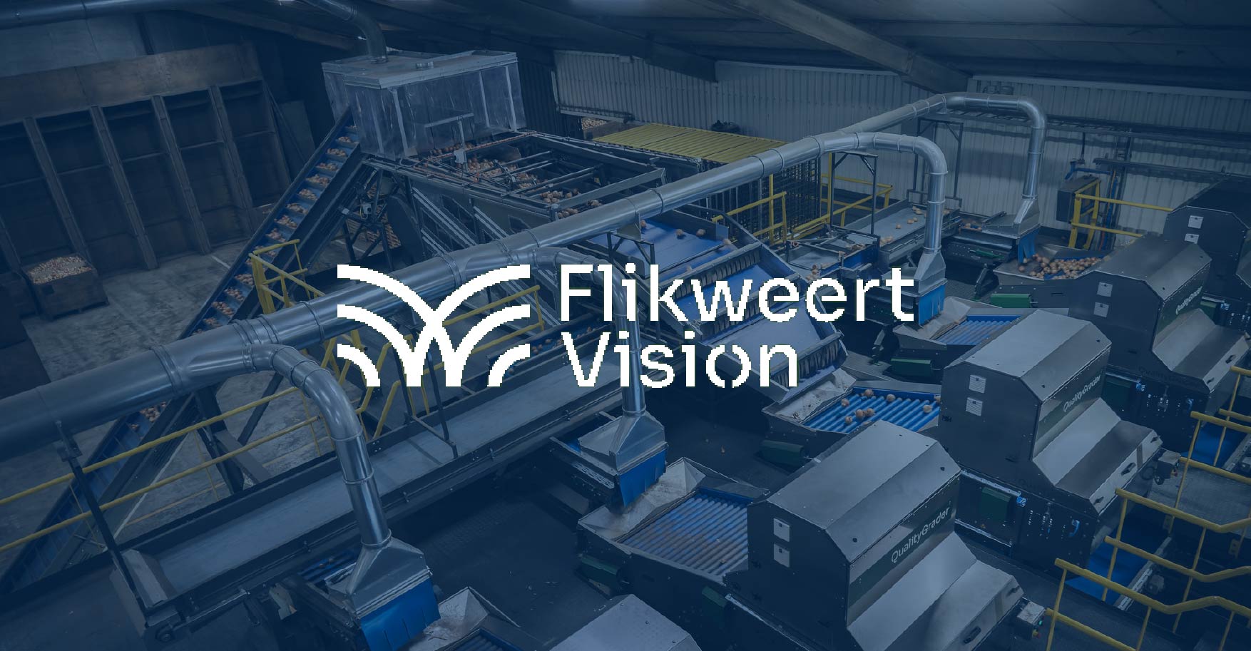 Flikweert Vision logo
