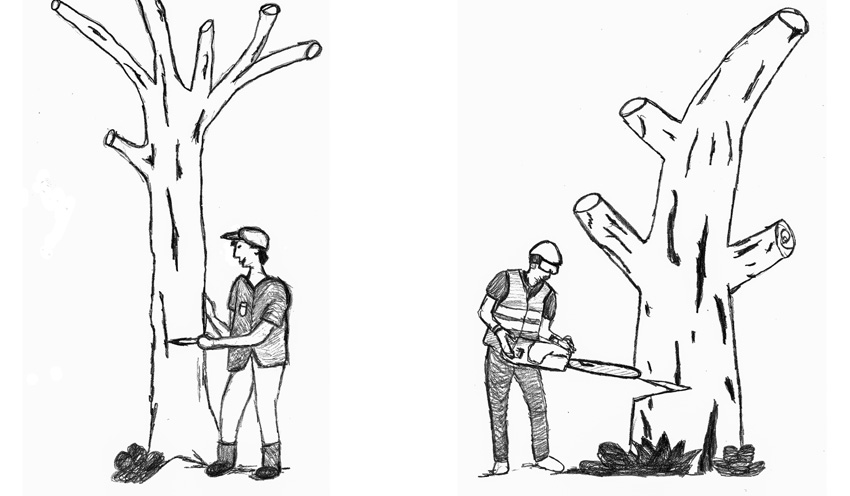 „Ich und mein Holz“ – Jochens effizientes Werkzeug