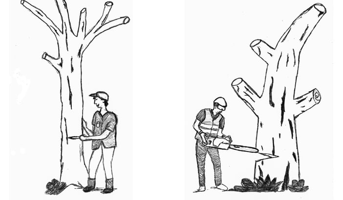 „Ich und mein Holz“ – Jochens effizientes Werkzeug